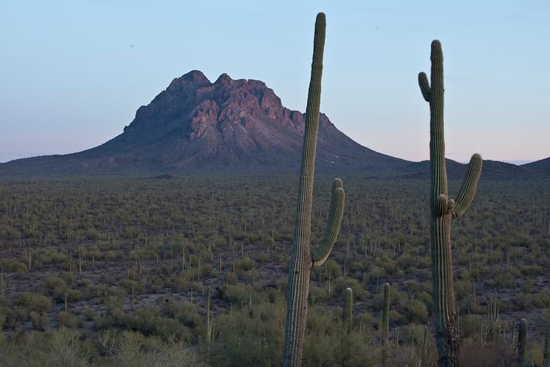 Ironwood Forest National Monument