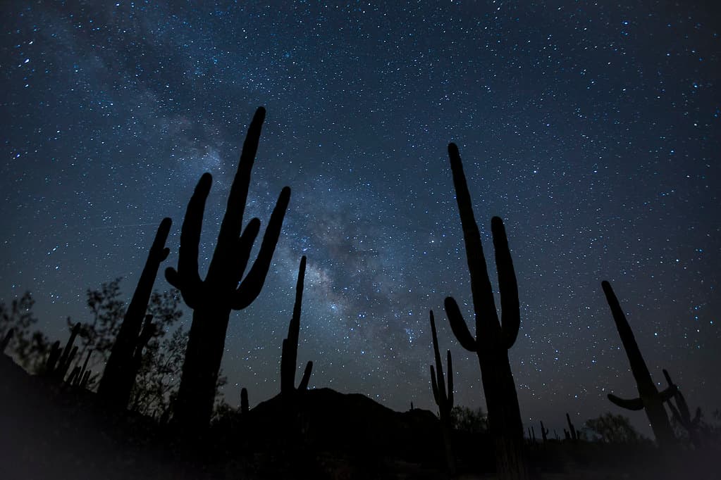 Sonoran Desert National Monument