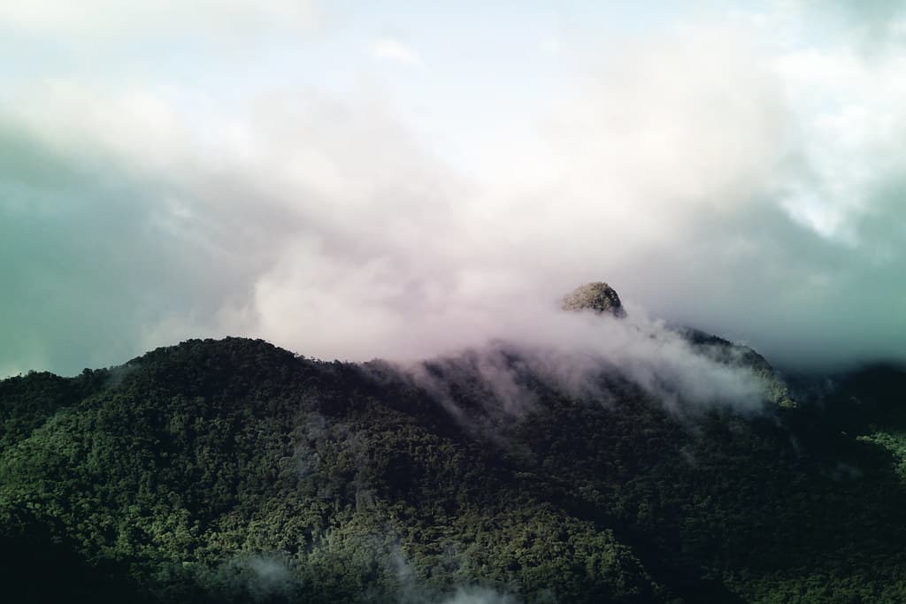 Clouds Over Forested Hillside