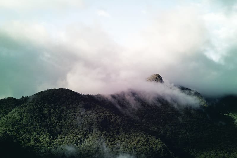 Clouds Over Forested Hillside
