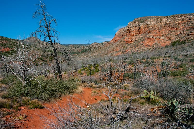 Jacks Canyon Trail No. 55