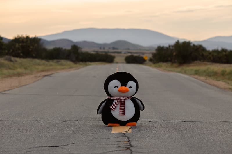Penguin in Antelope Valley