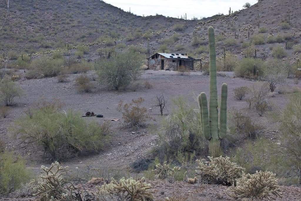 Sonoran Desert National Monument