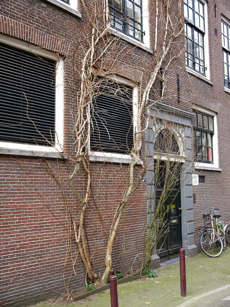 Amsterdam, amsterdamcity, architecture