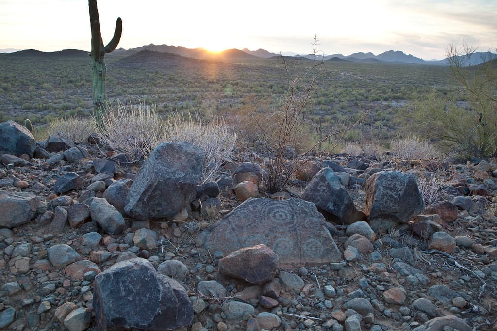 Ironwood Forest National Monument