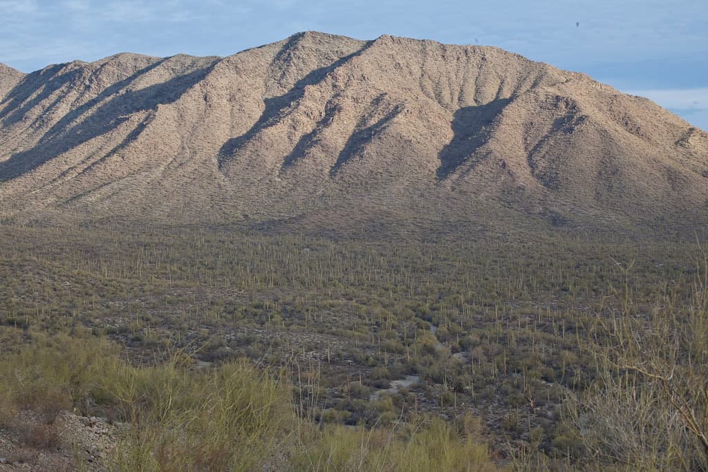 Sonoran Desert National Monument
