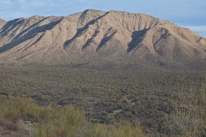Sonoran Desert National Monument