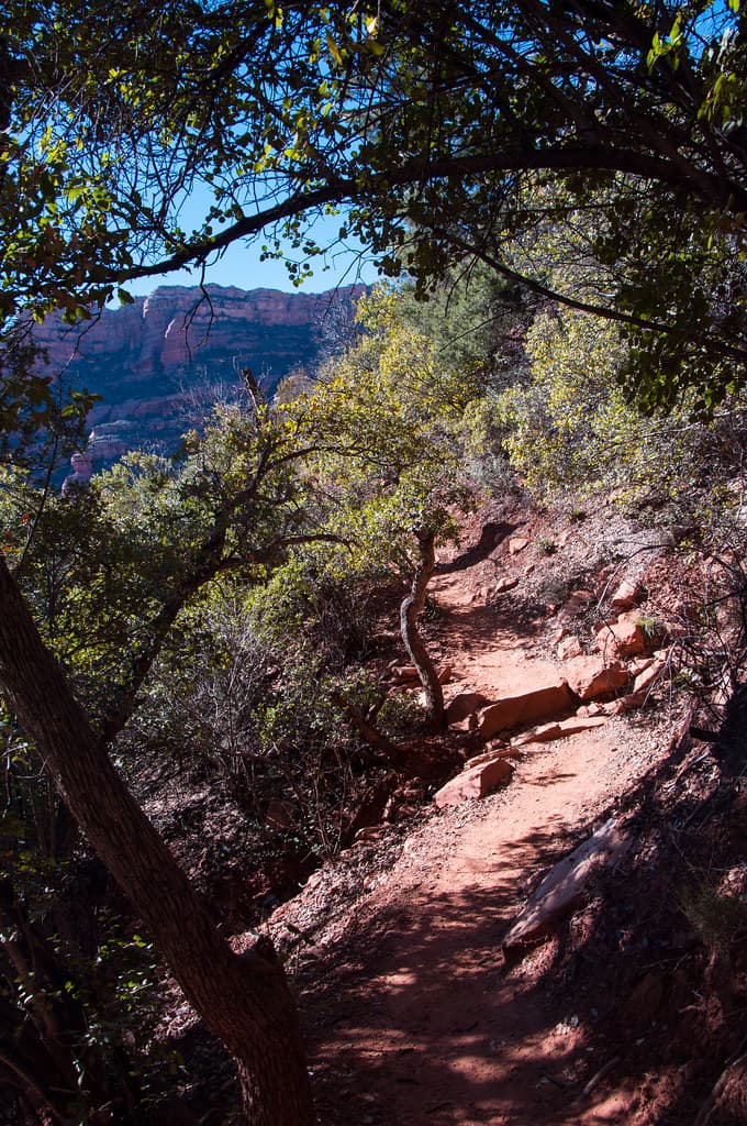 Boyton Canyon Trail No. 47