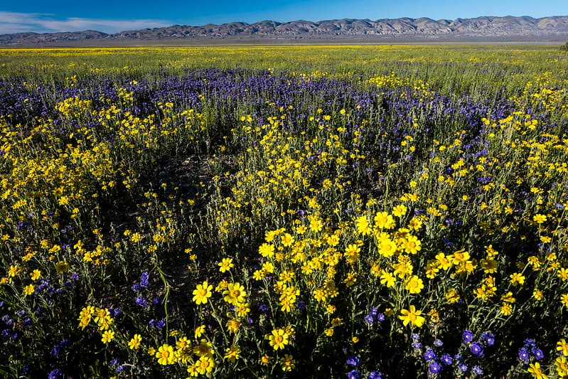 Carrizo Plain National Monument