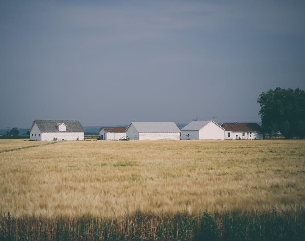 Barns and Storehouses