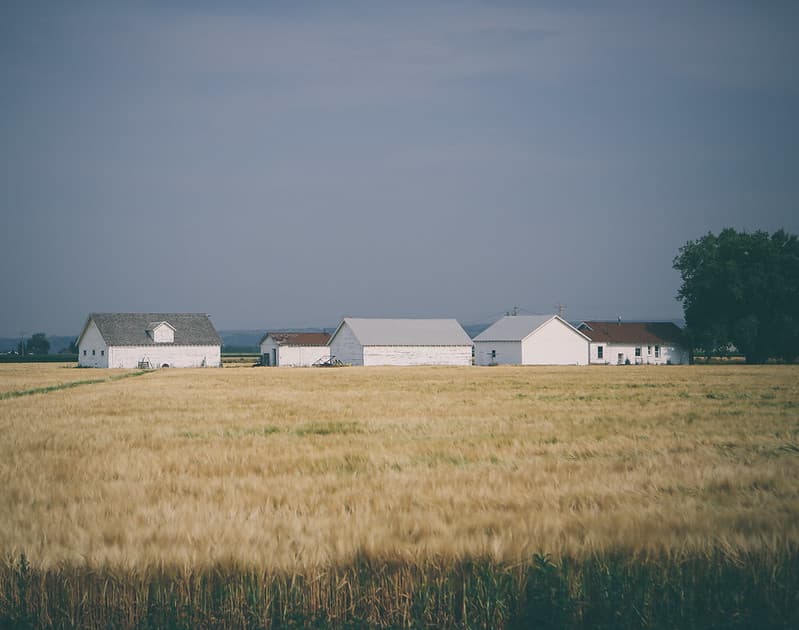 Barns and Storehouses