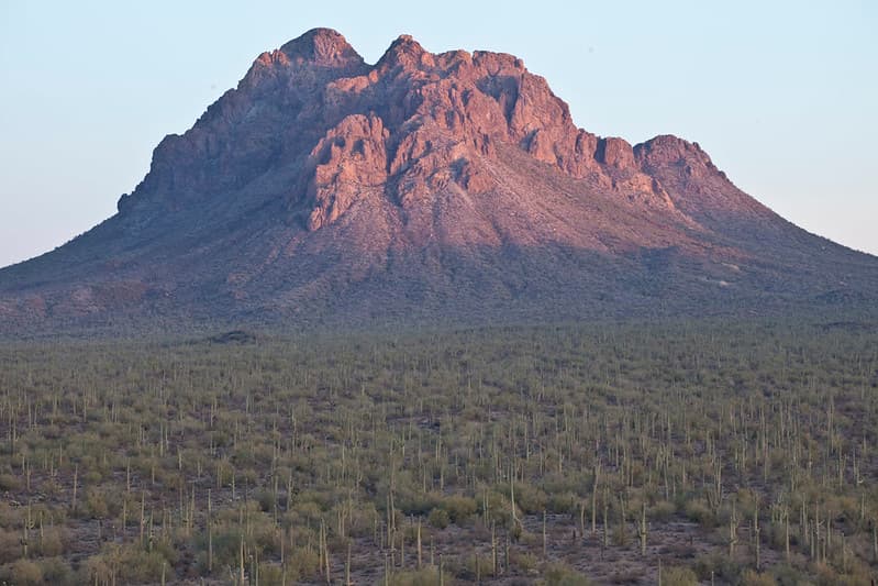 Ironwood Forest National Monument