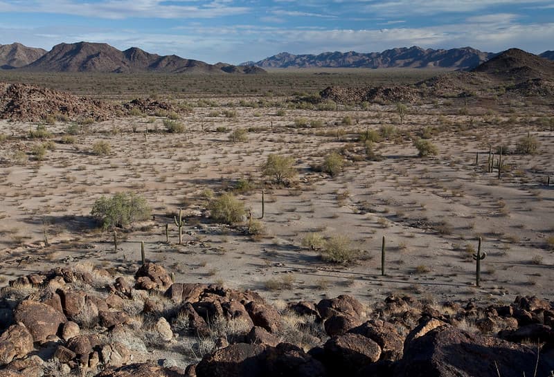 Sonoran Desert National Monument