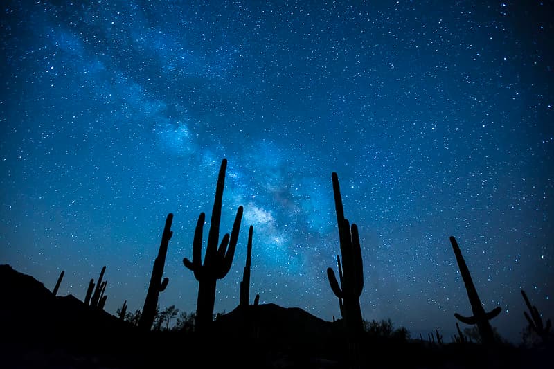 Sonoran Desert National Monument
