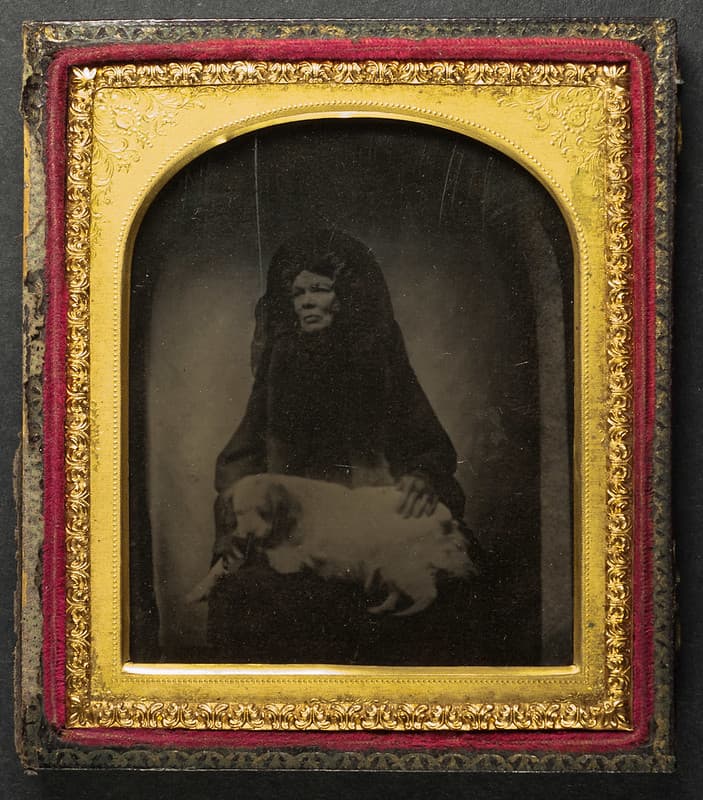 Early ambrotype of a cloaked lady and dog