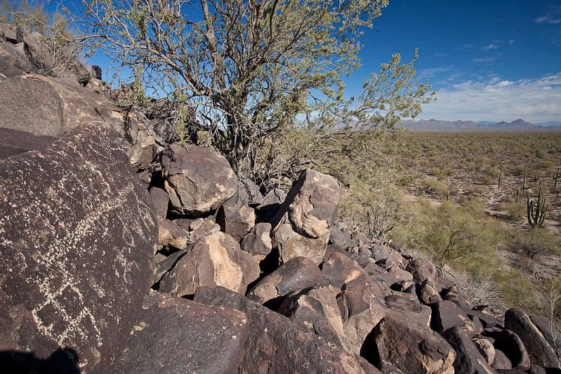 Ironwood Forest National Monument