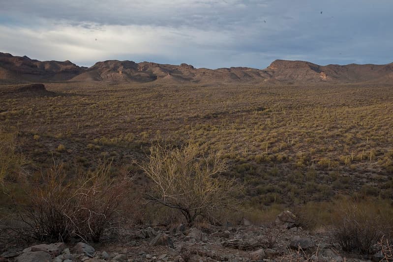 Sonoran Desert National Monument