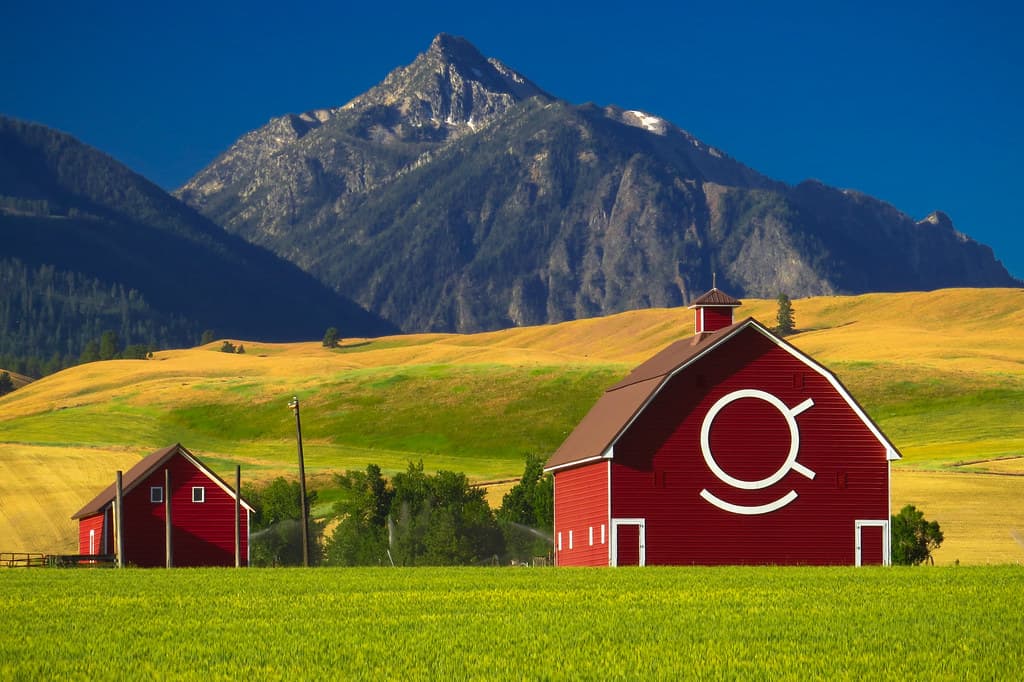 Architectural, architecture, barn
