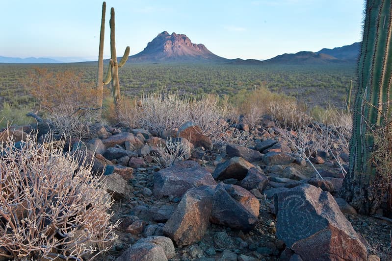 Ironwood Forest National Monument