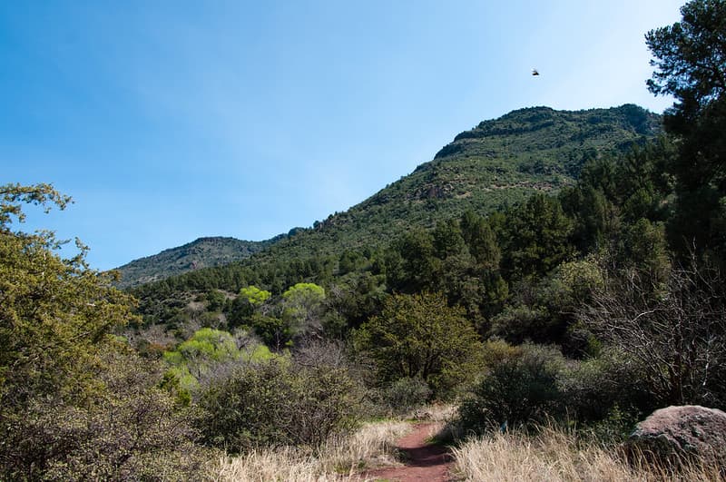 Waterfall Trail at Fossil Creek