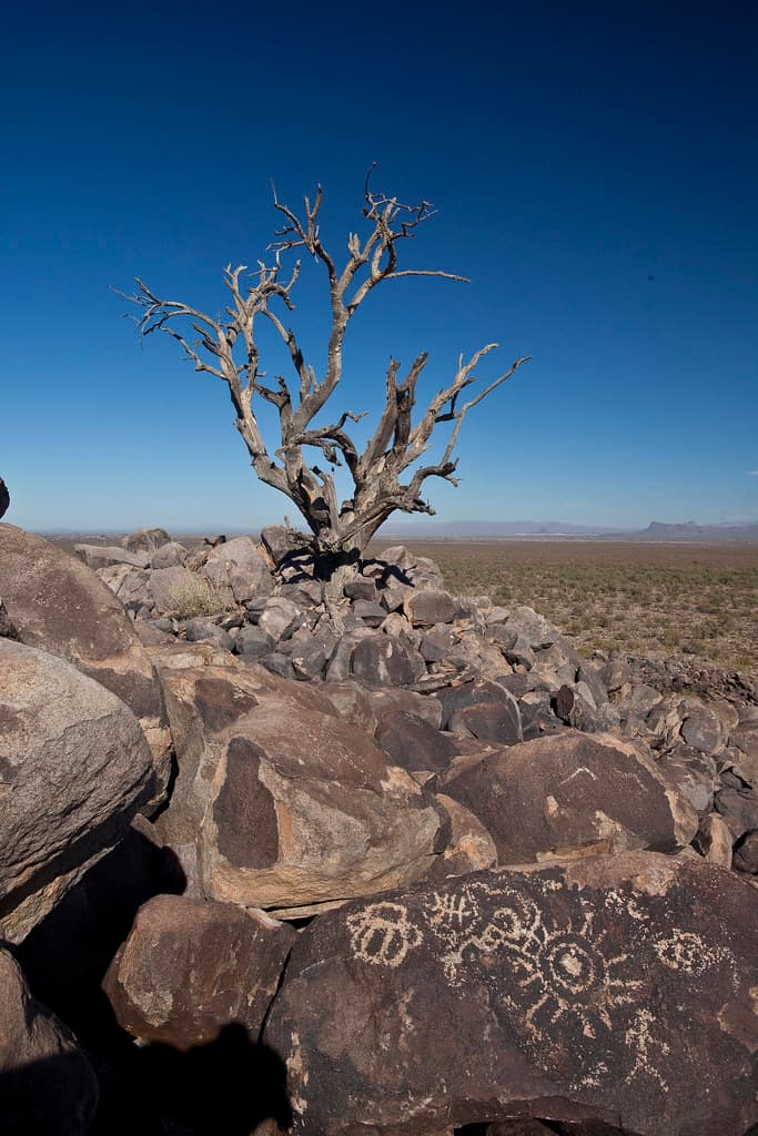 Ironwood Forest National Monument