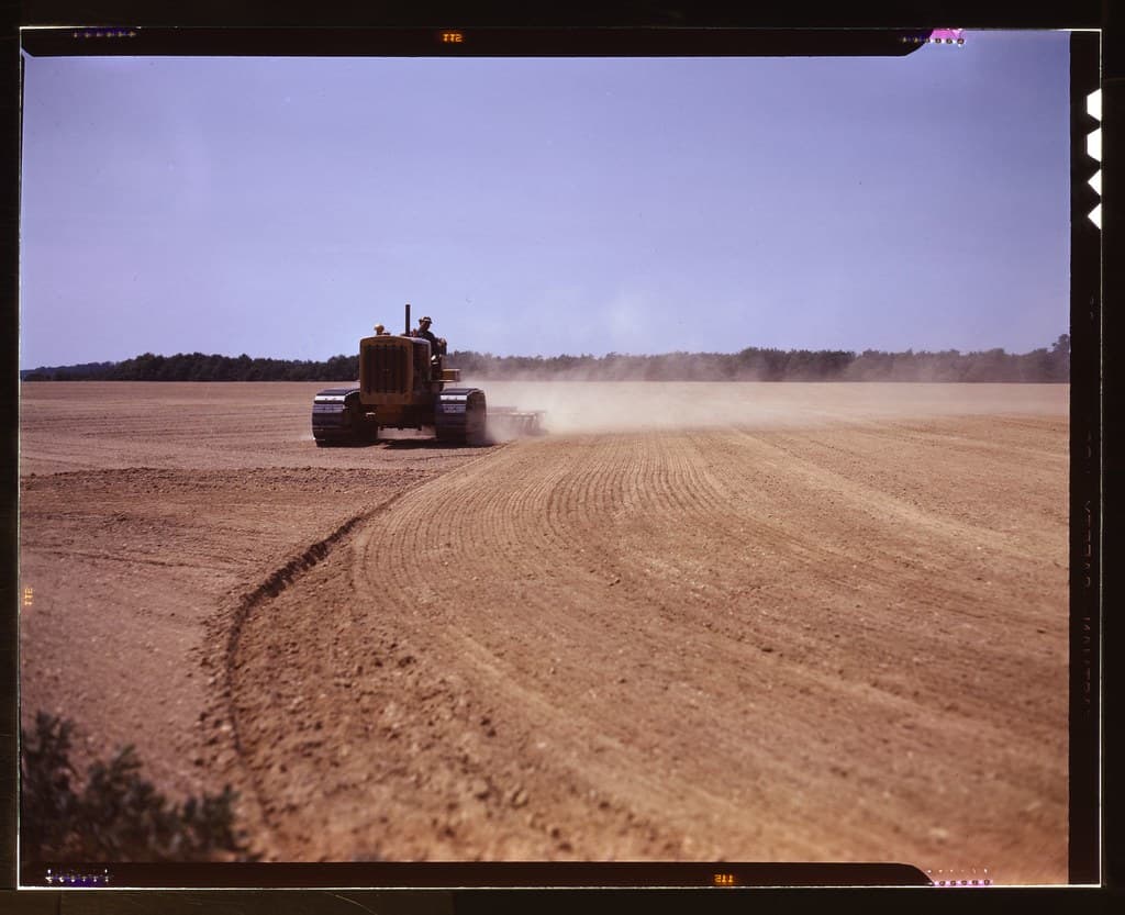 No Known Restrictions: Cultivating Field (FSA/LOC)