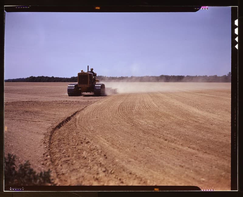 No Known Restrictions: Cultivating Field (FSA/LOC)