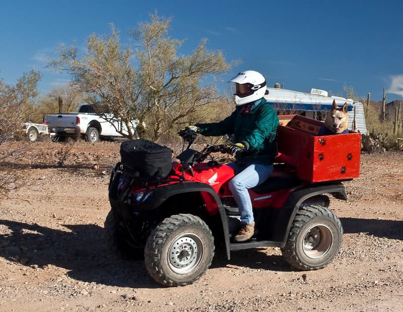 Ironwood Forest National Monument