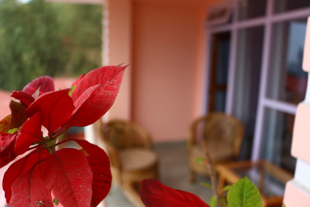 Balcony at Shikher Guest House, Kalimpong