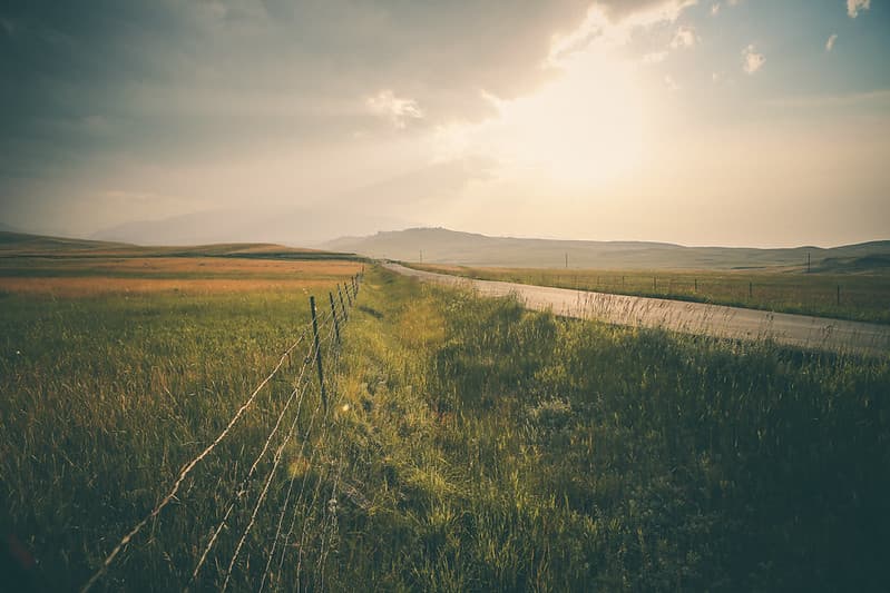 Wire Fence by Country Road