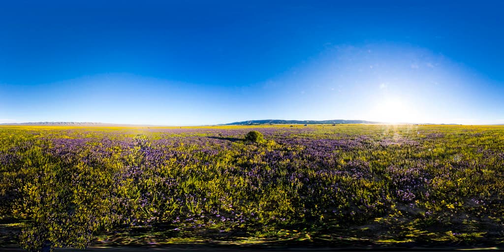 Carrizo Plain National Monument