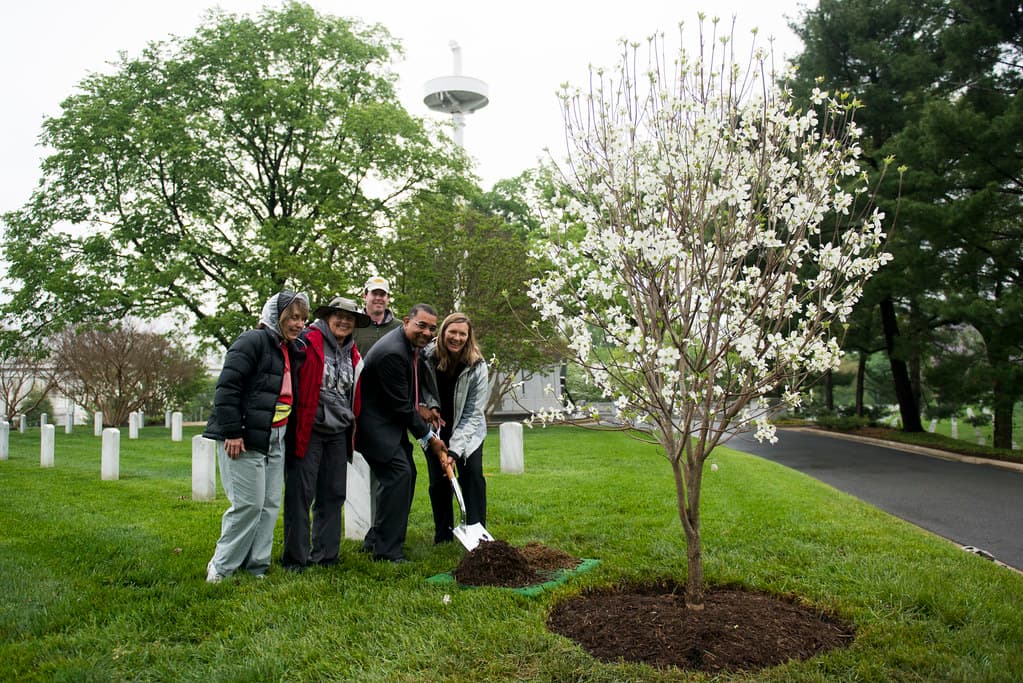 Anc, anthracnose, appalachianspring