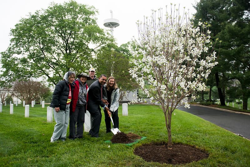 Anc, anthracnose, appalachianspring