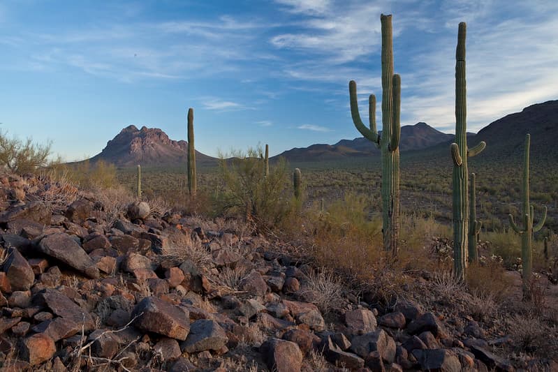 Ironwood Forest National Monument
