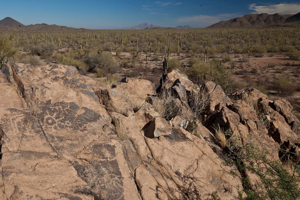 Ironwood Forest National Monument
