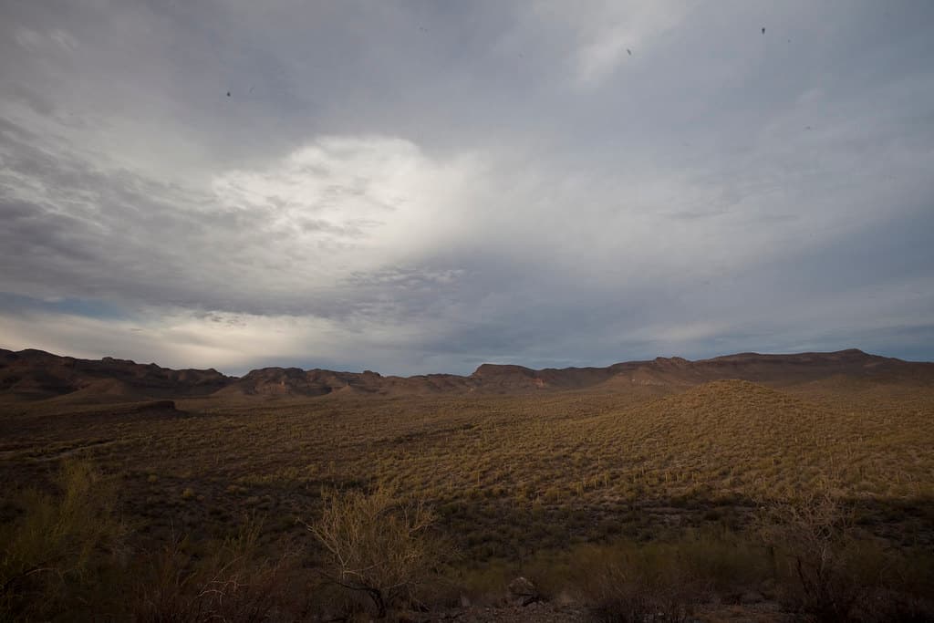 Sonoran Desert National Monument