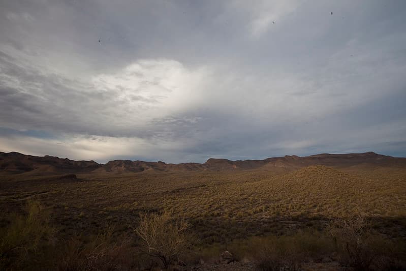 Sonoran Desert National Monument