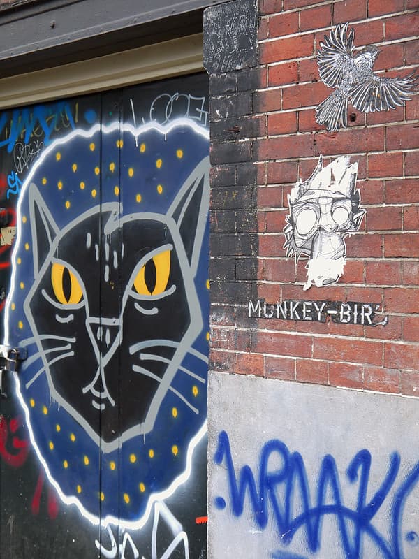Amsterdam, amsterdamcity, animals