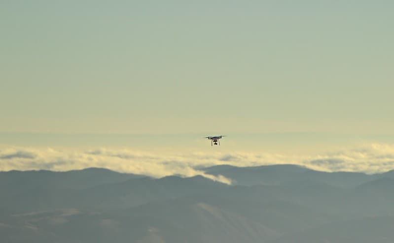Curious drone