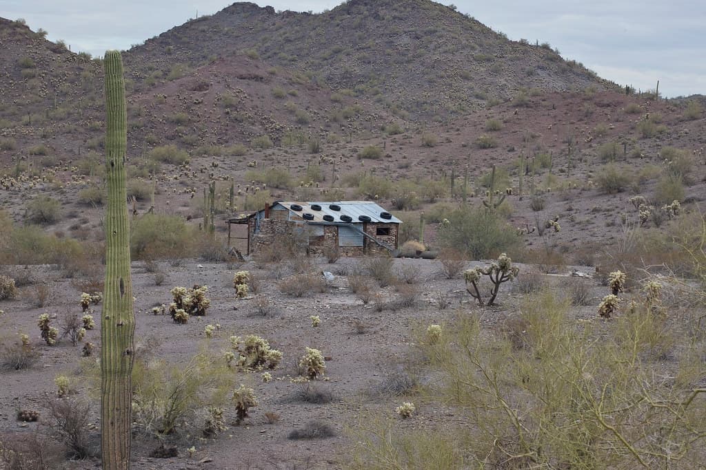 Sonoran Desert National Monument