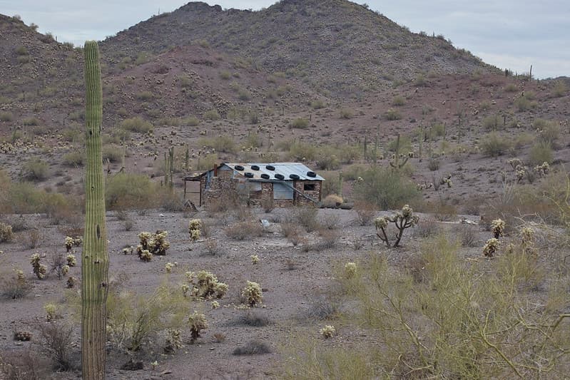 Sonoran Desert National Monument