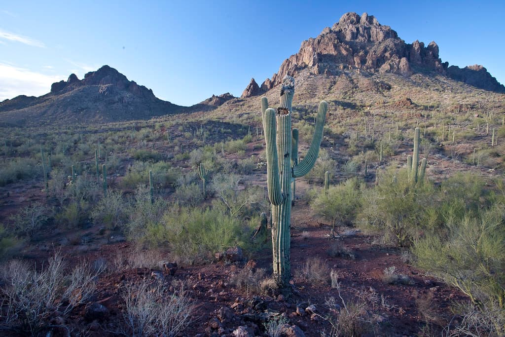 Ironwood Forest National Monument