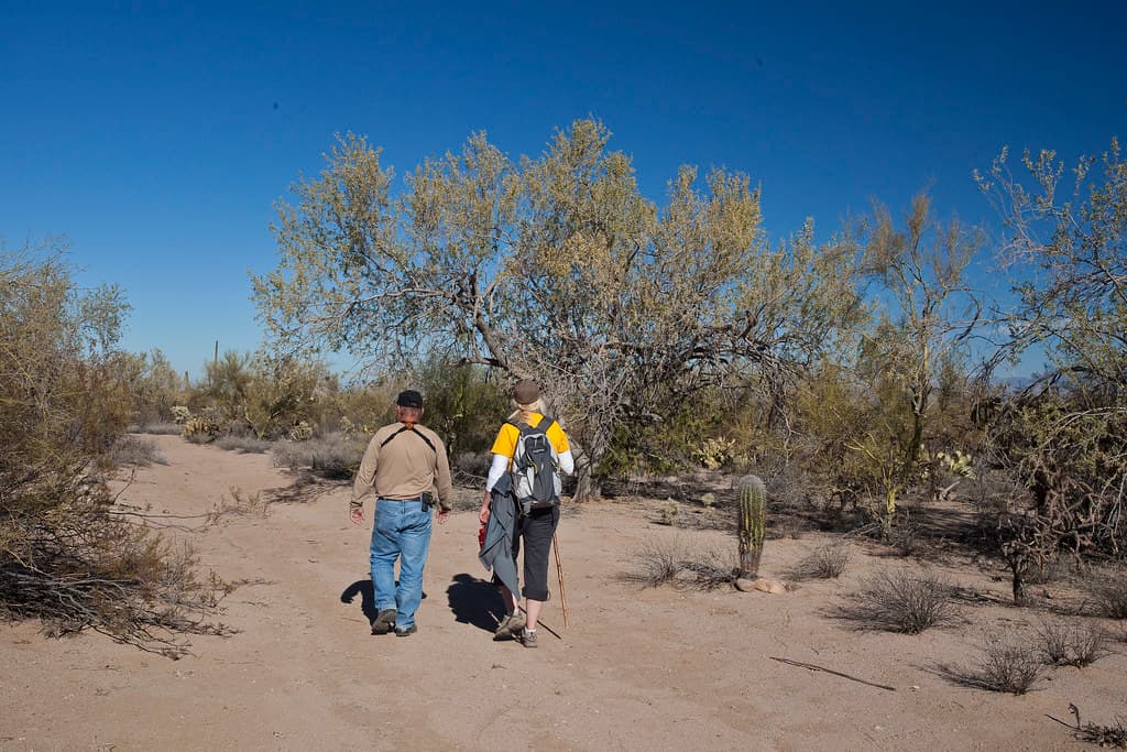 Ironwood Forest National Monument