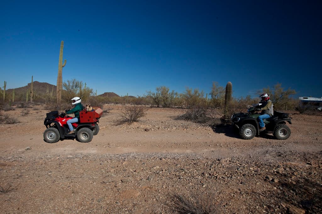 Ironwood Forest National Monument