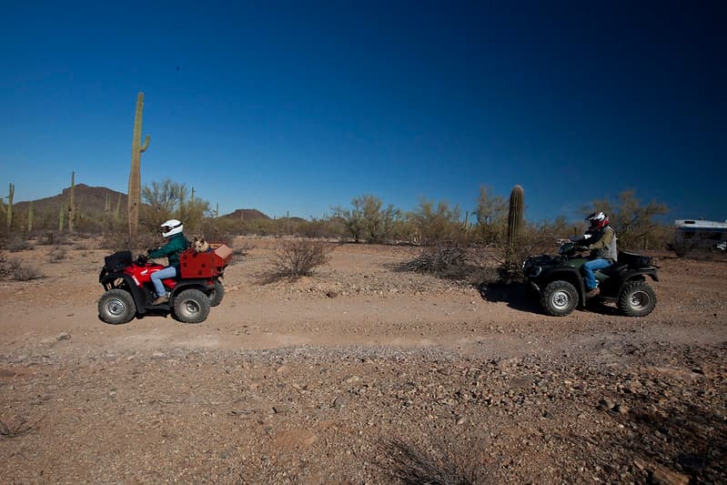 Ironwood Forest National Monument