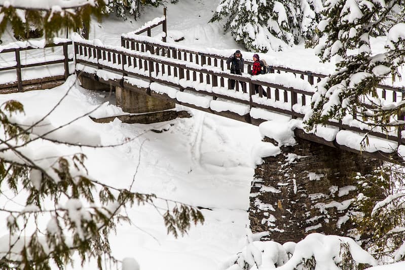 Skiers along the Horse Bridge
