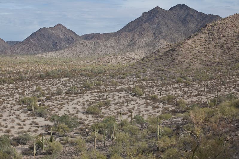 Sonoran Desert National Monument