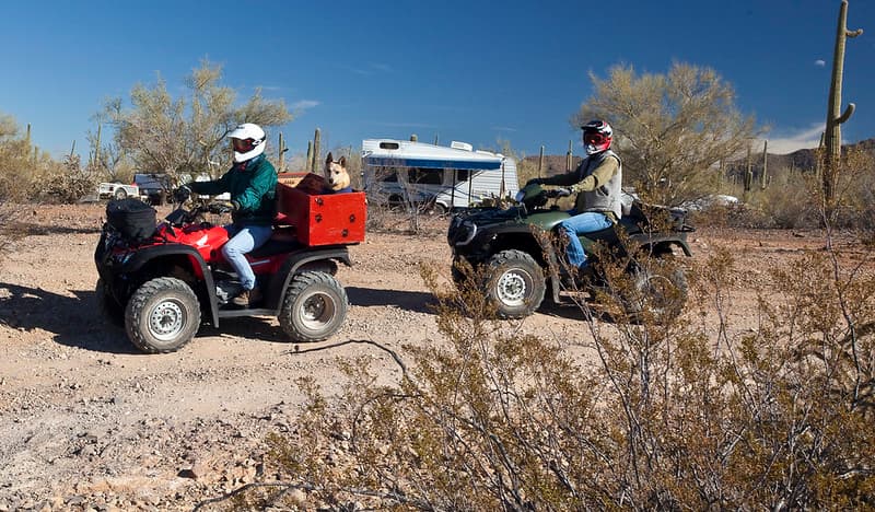 Ironwood Forest National Monument