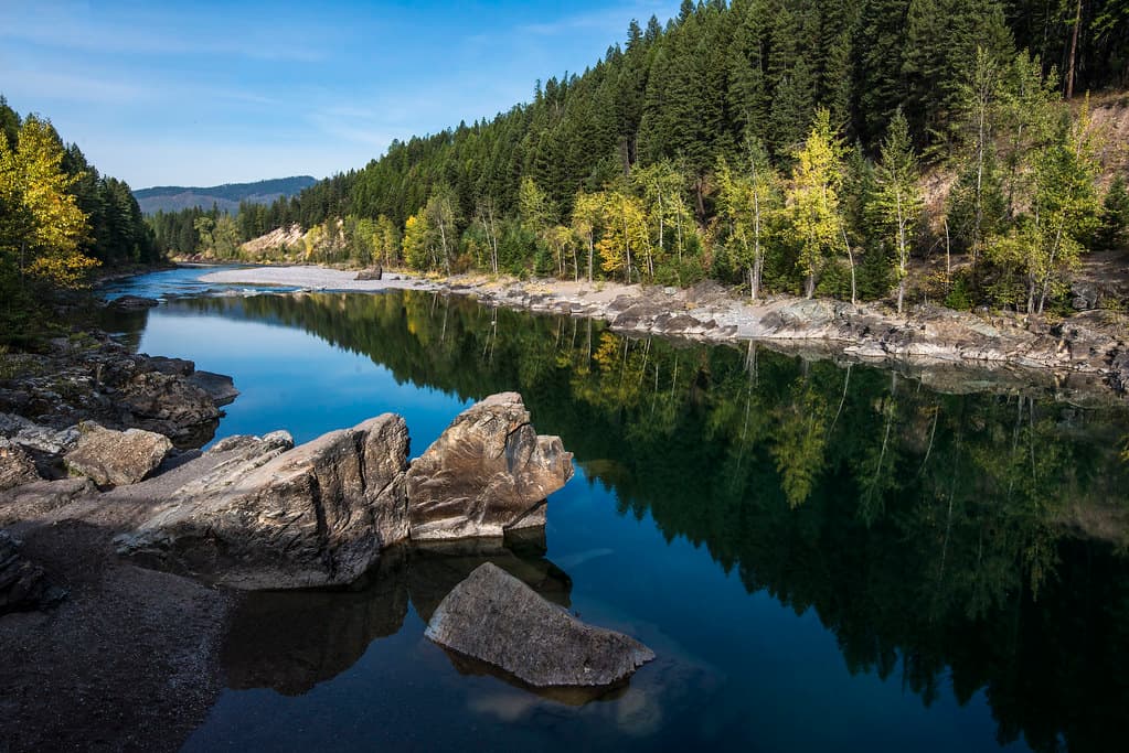 Flathead River- Calm Morning B