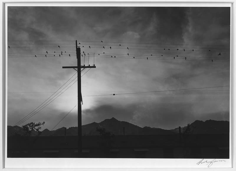 American, anseladams, archival